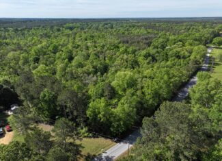 Hunting Land For Sale Pike County Jayess Mississippi