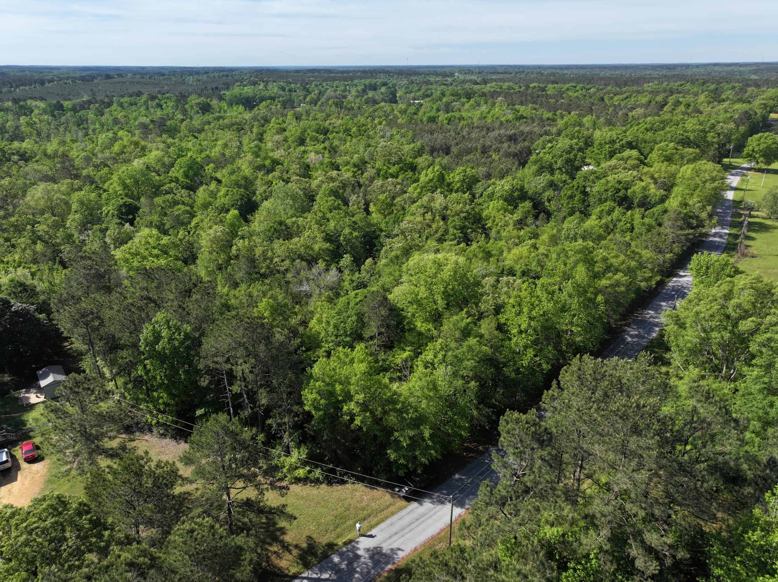 Hunting Land For Sale Pike County Jayess Mississippi