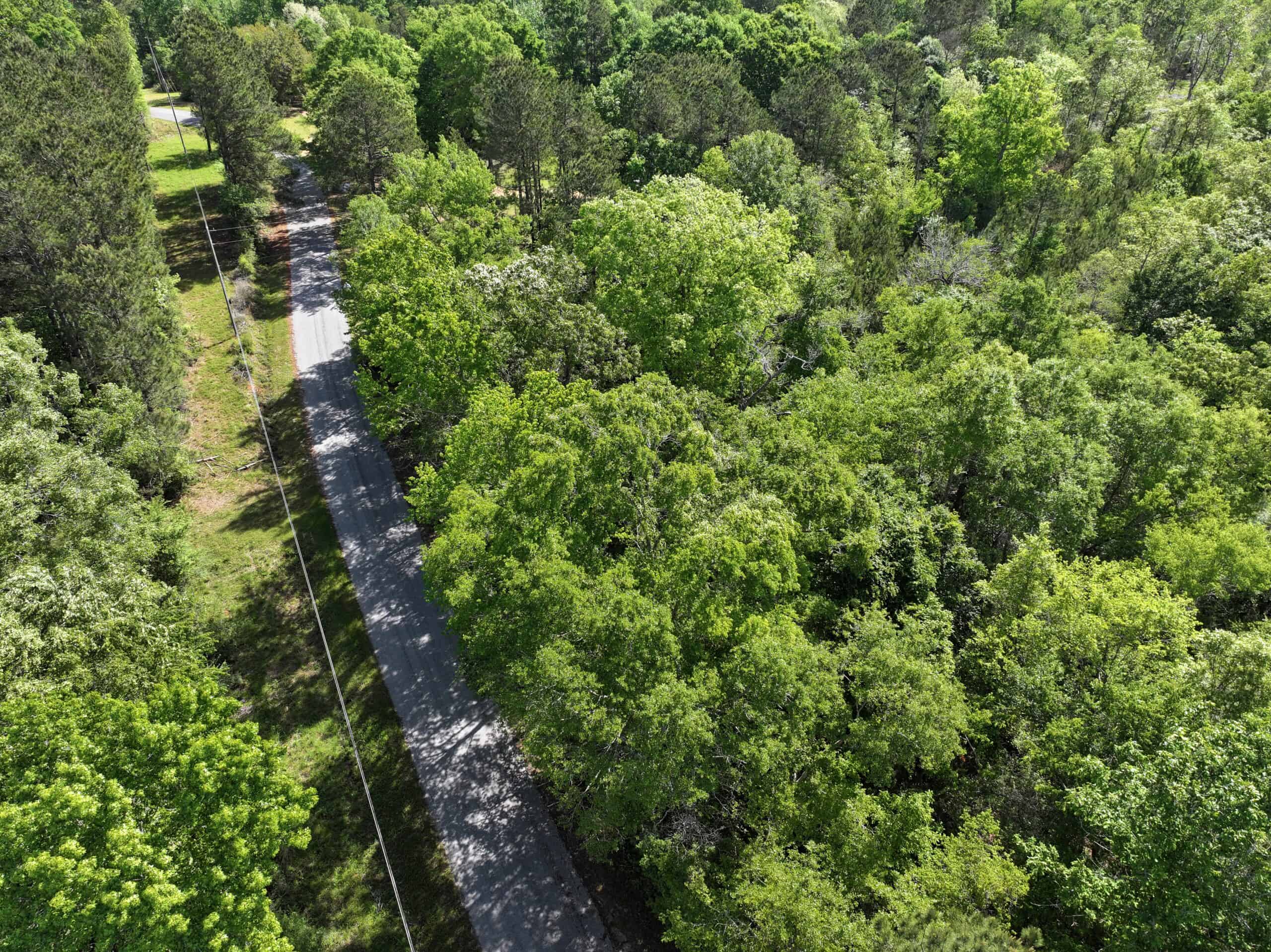Hunting Land For Sale Pike County Jayess Mississippi