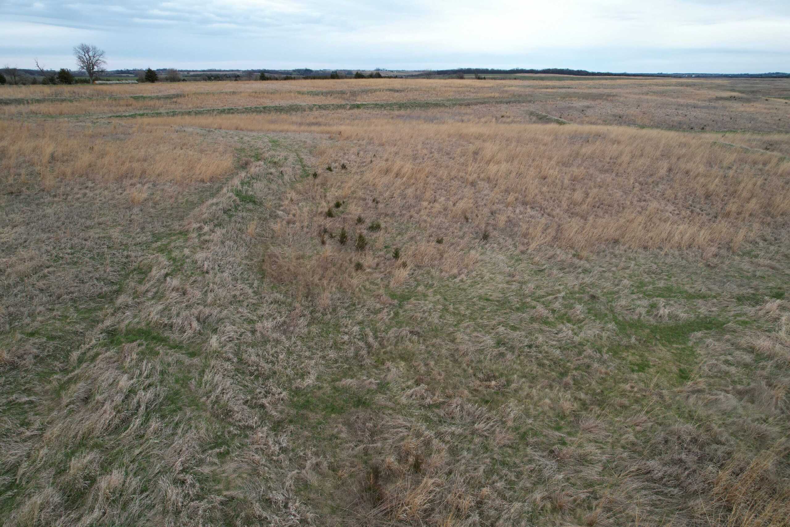 Southwest Iowa Income Producing Combination Farm