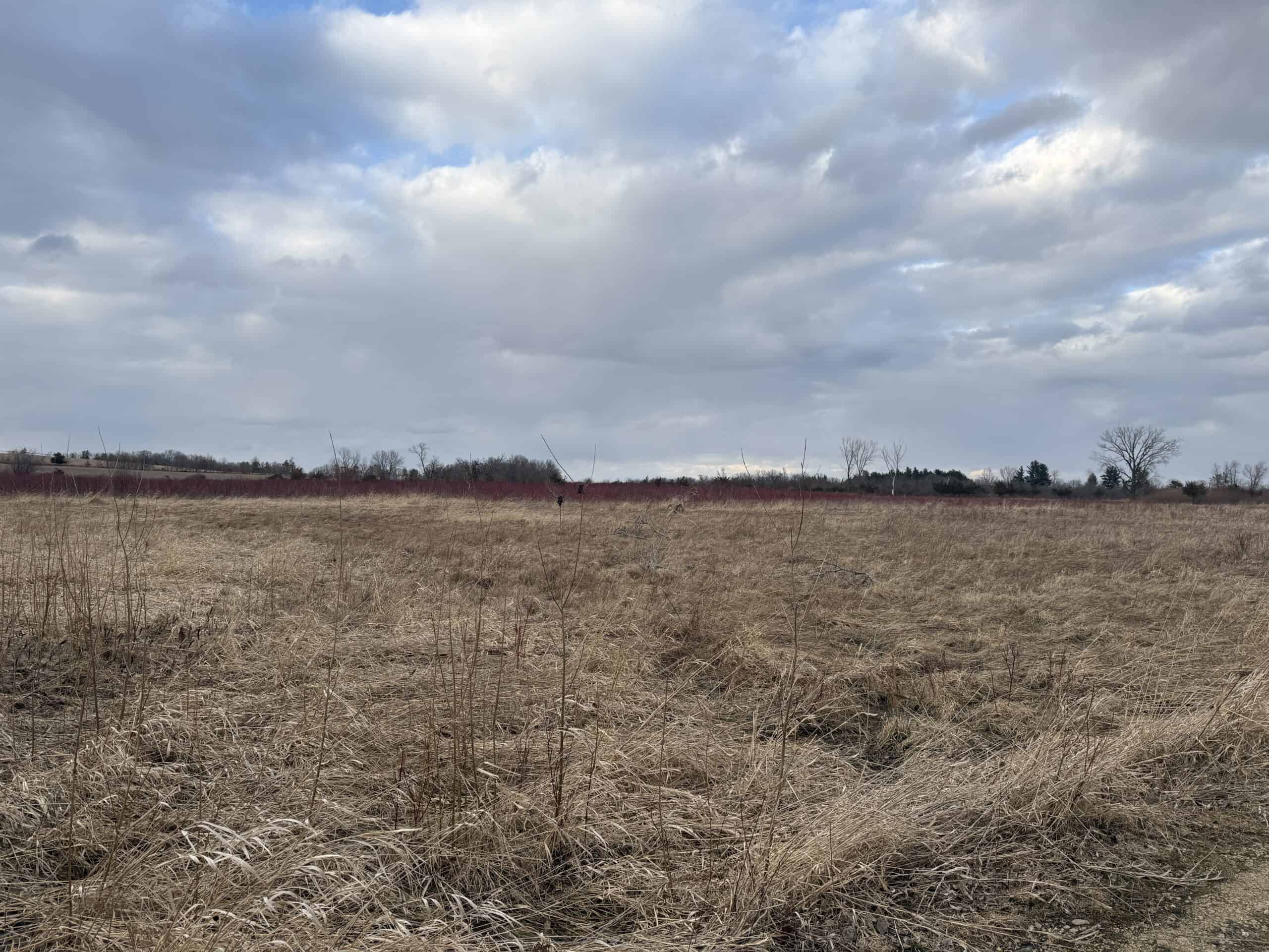 44± Acre Premier Duck and Deer Hunting Property Marquette Cty WI