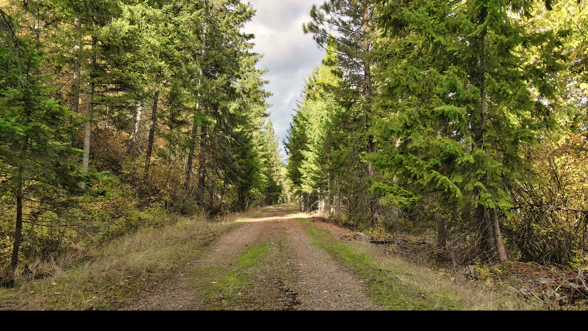 Riverfront Acreage For Sale in St. Regis, Montana