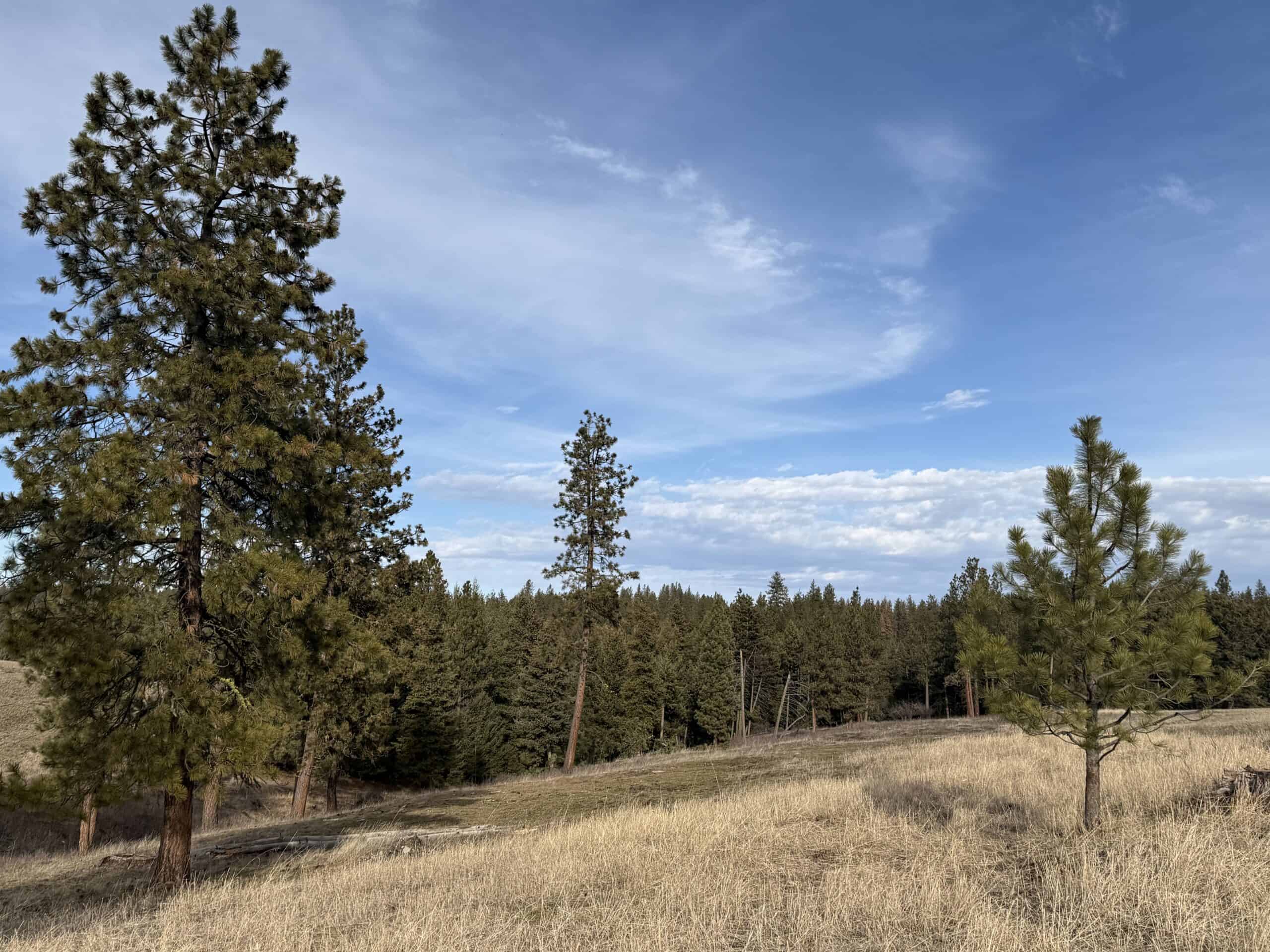 Land for Sale in Idaho County, ID at Hatke Place Ranch