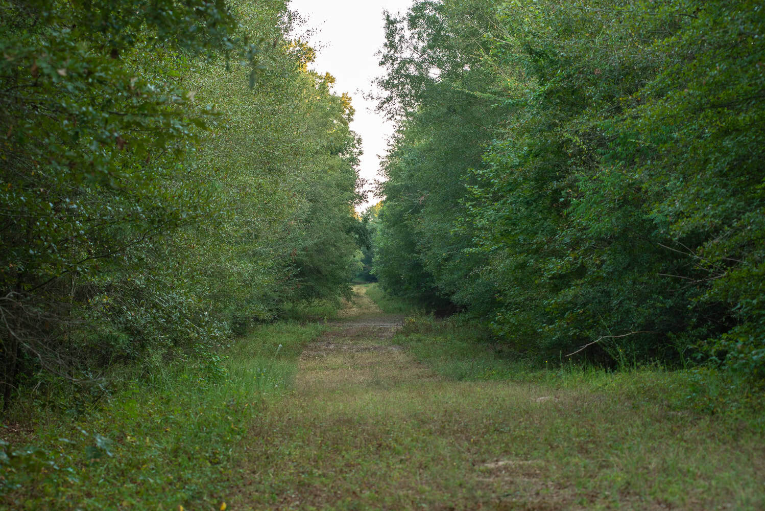 863-Acre Hunting Ranch on the Sabine River near Big Sandy TX