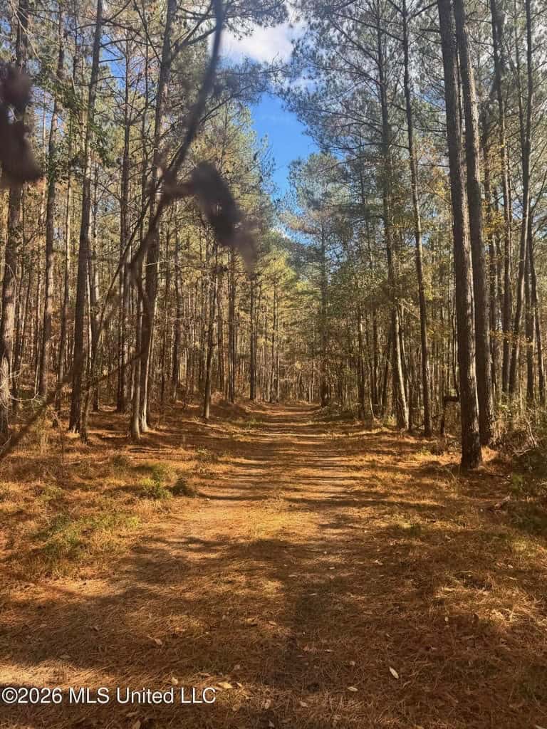 South Mississippi Hunting Land for Sale in Walthall County