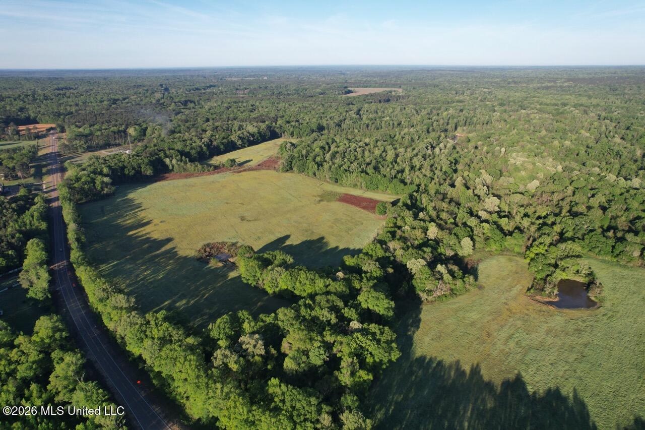 266± Acres Hinds/Copiah Line with Creek and Income