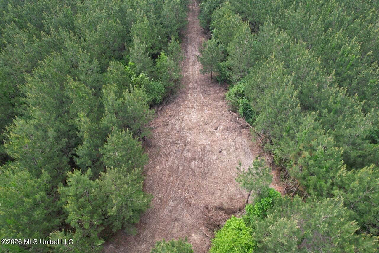 46 Acres in St. Helena Parish, LA Hunting Property for Sale