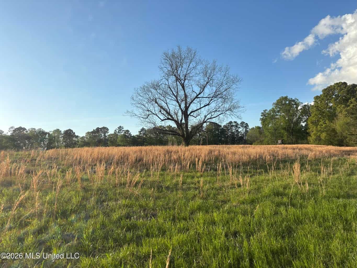 77 Acres in Edwards, MS Hinds County Big Black River Region