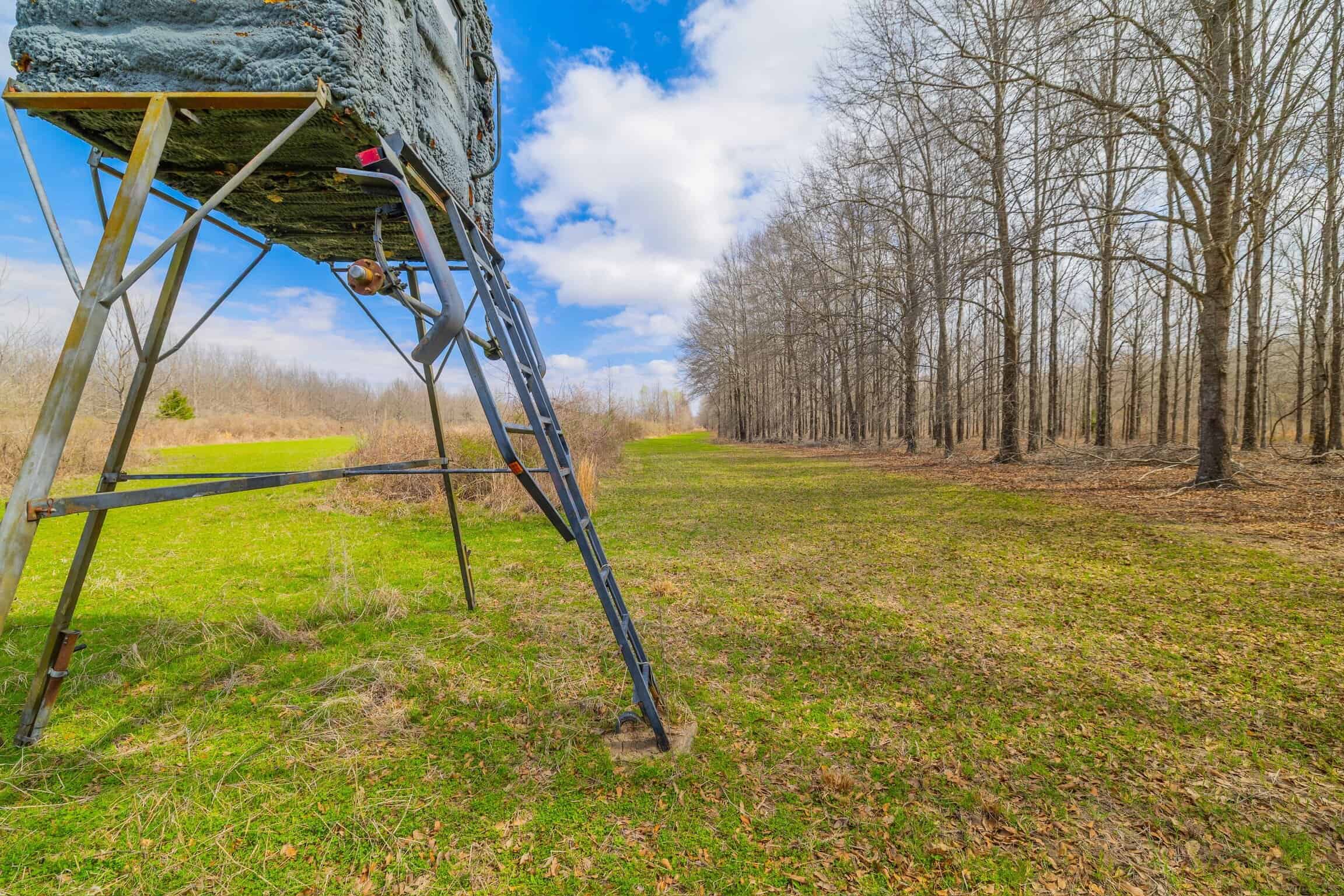 Tensas Parish Duck and Deer Hunting Property