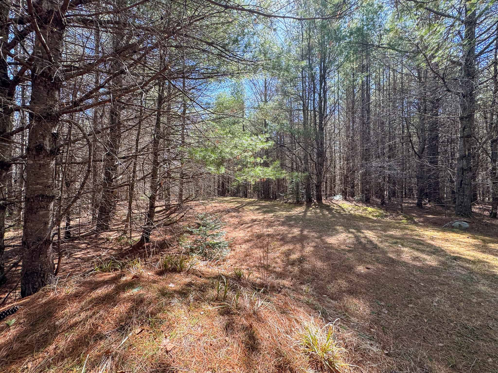 Riverfront Property with 16 Acres – Medway, Maine