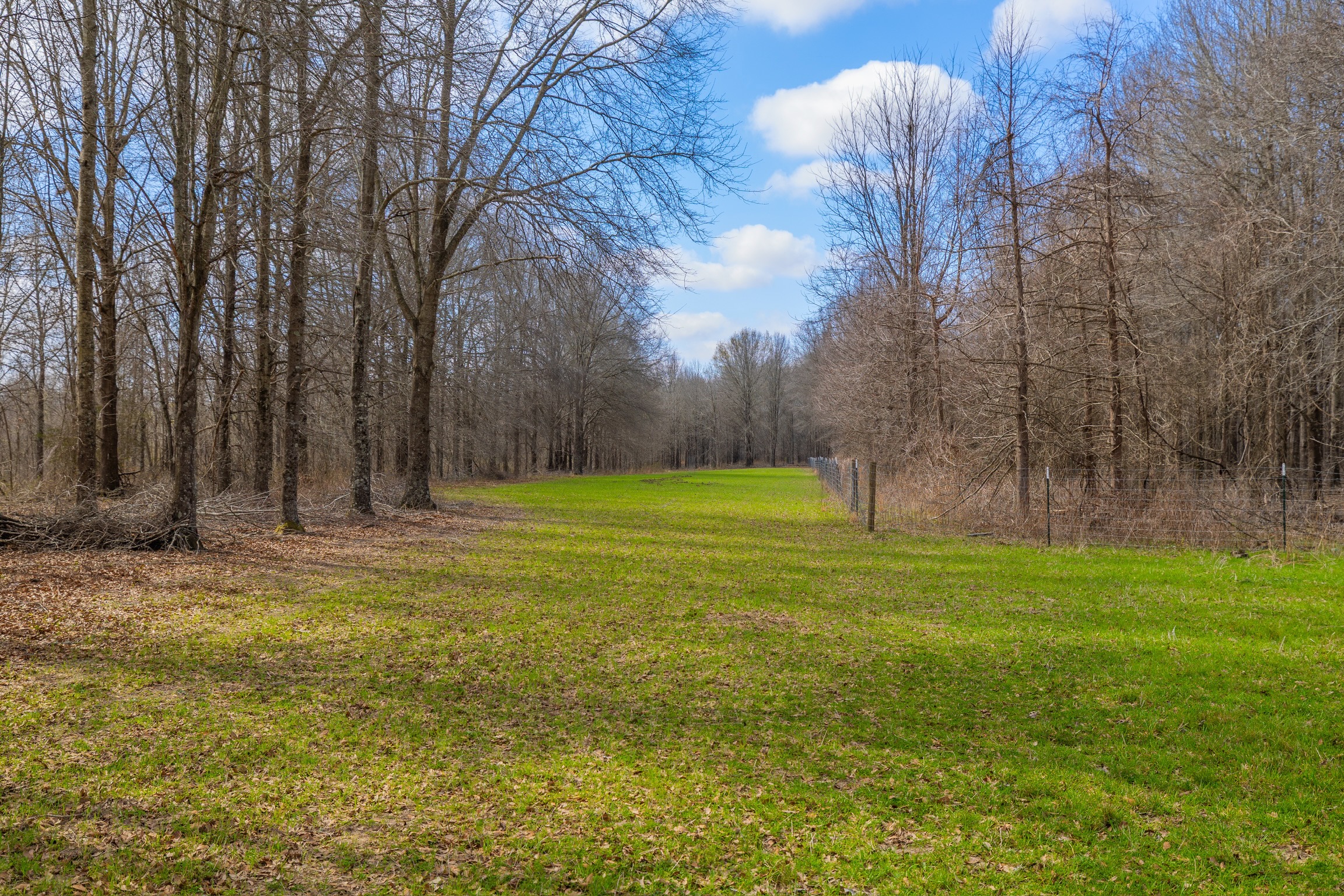 330+/- Acre Deer and Duck Hunting Property with a Camp