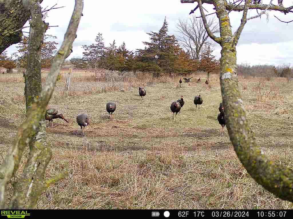 44± Acre Premier Duck and Deer Hunting Property Marquette Cty WI
