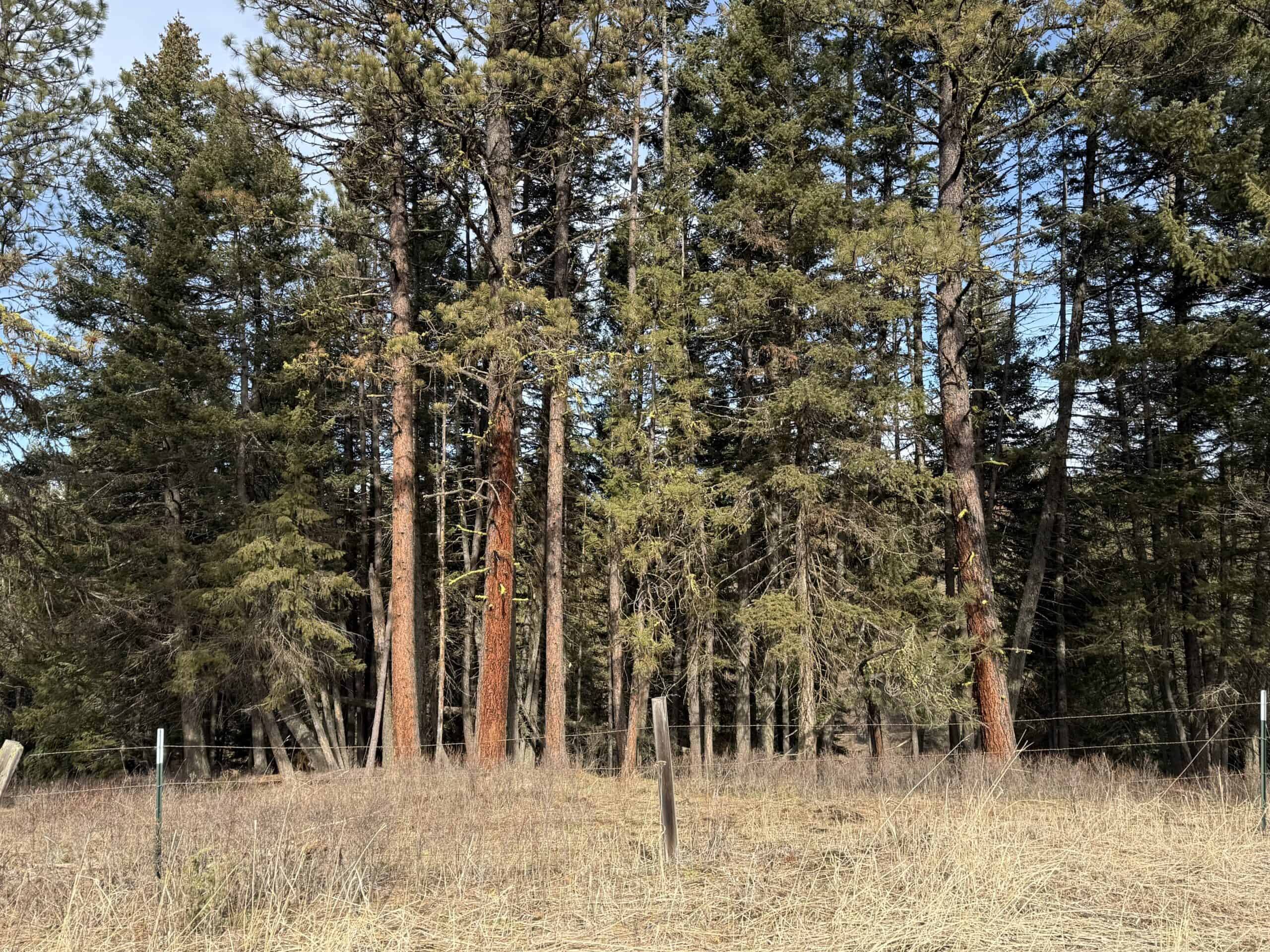 Land for Sale in Idaho County, ID at Hatke Place Ranch
