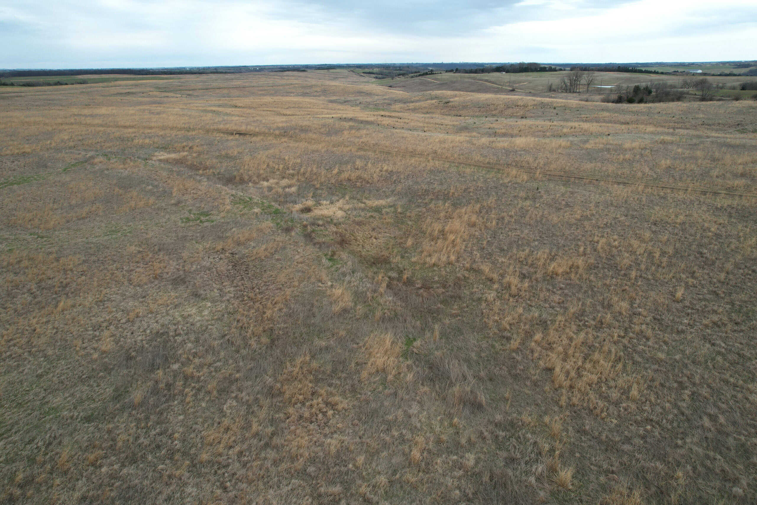 Southwest Iowa Recreational CRP Farm
