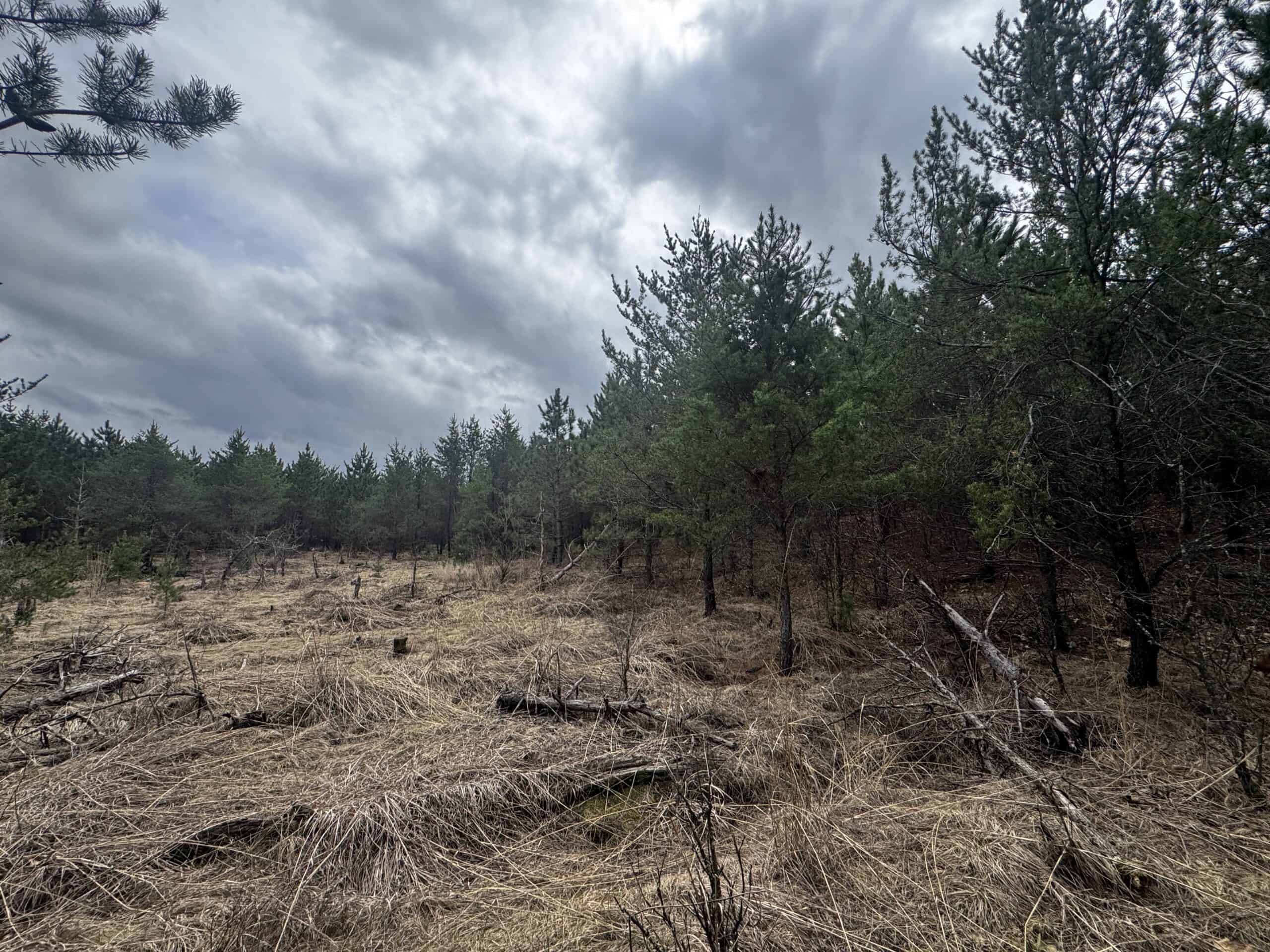 80± acre timber tract in the heart of northern Adams County