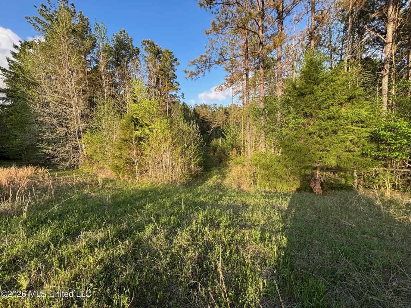 77 Acres in Edwards, MS Hinds County Big Black River Region