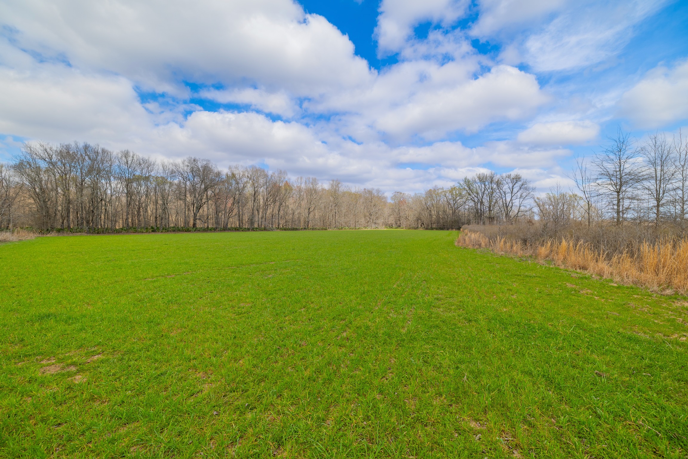330+/- Acre Deer and Duck Hunting Property with a Camp