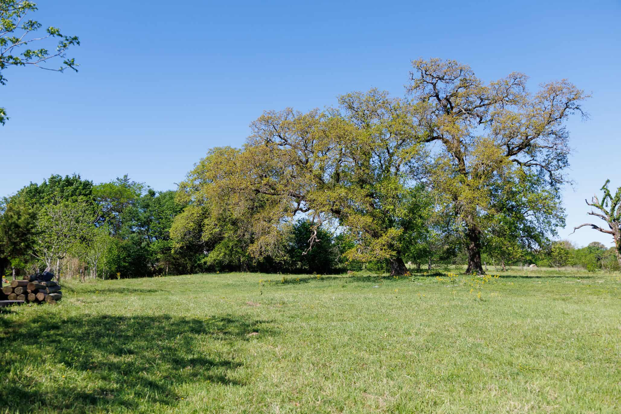 31.74 Acre Recreational Ranch Near Bullard in Smith County TX