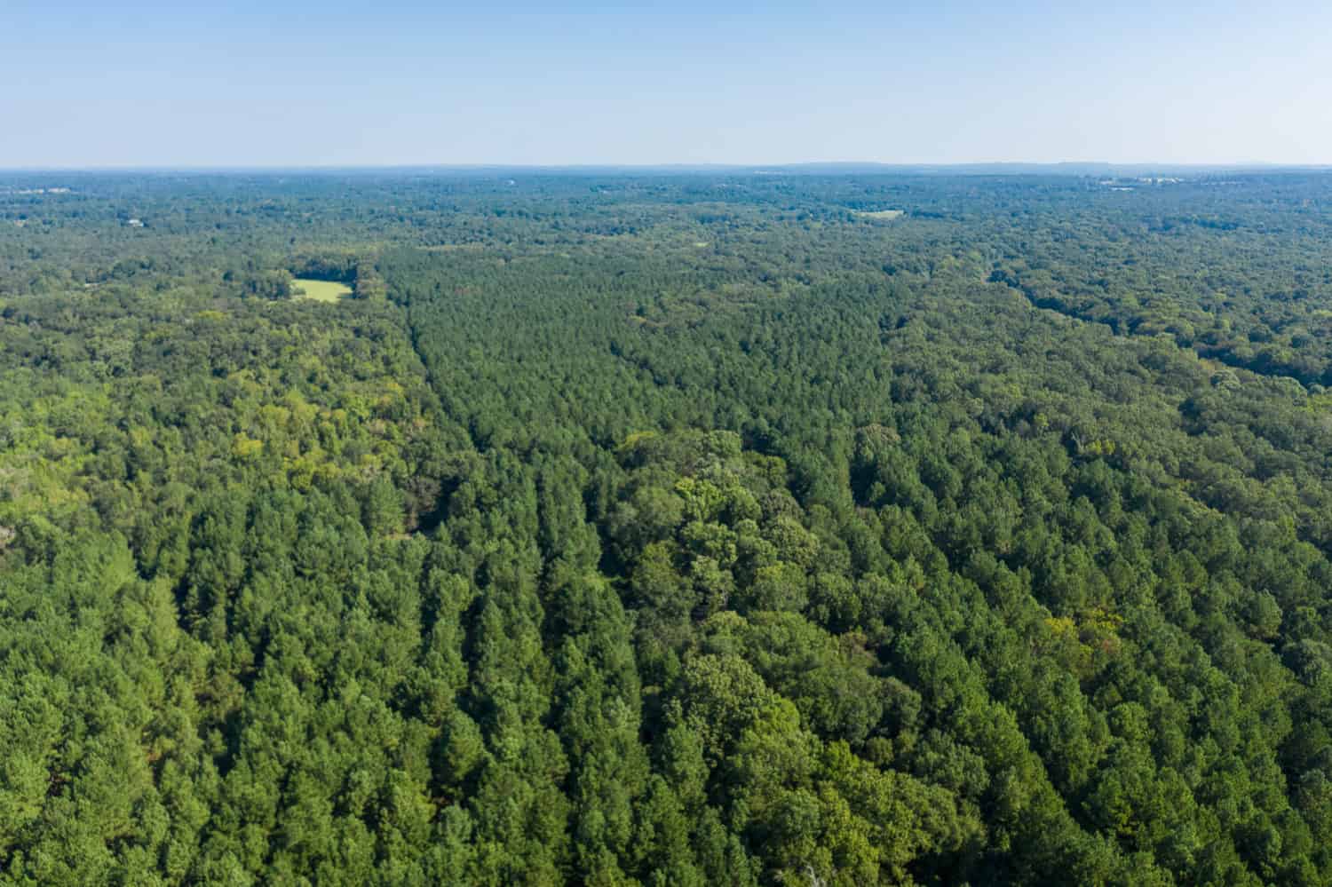863-Acre Hunting Ranch on the Sabine River near Big Sandy TX