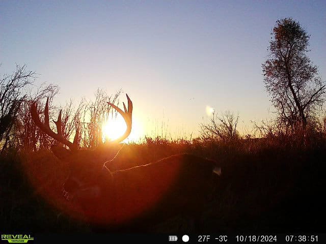 44± Acre Premier Duck and Deer Hunting Property Marquette Cty WI