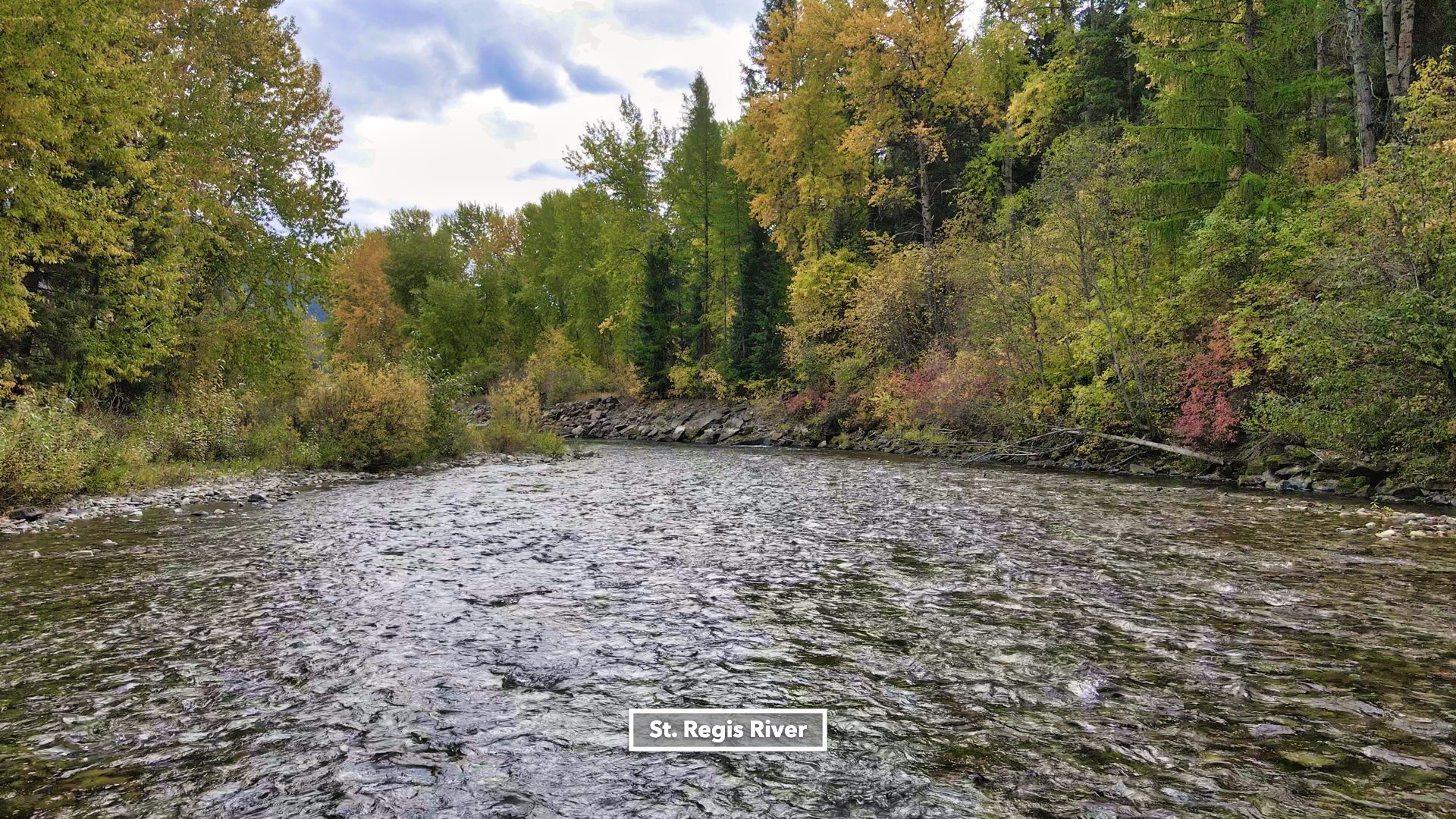 Riverfront Acreage For Sale in St. Regis, Montana