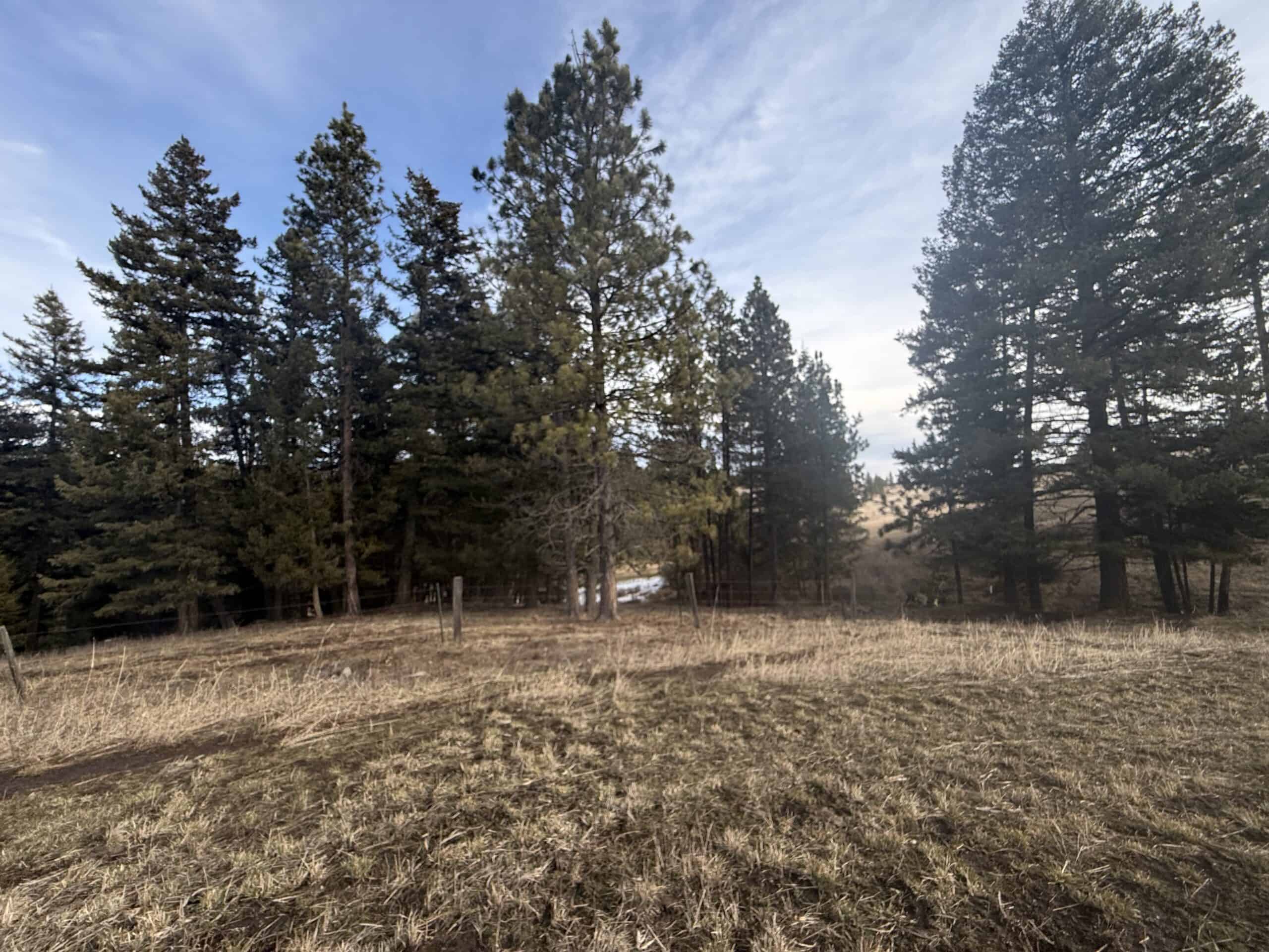 Land for Sale in Idaho County, ID at Hatke Place Ranch