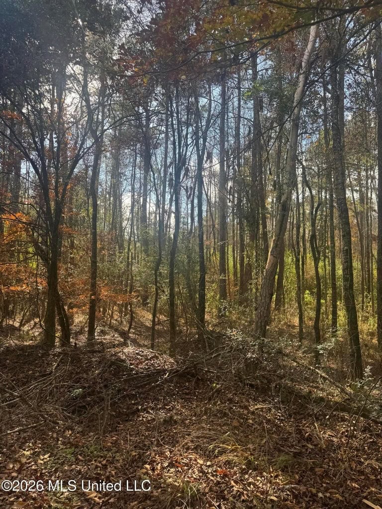 South Mississippi Hunting Land for Sale in Walthall County