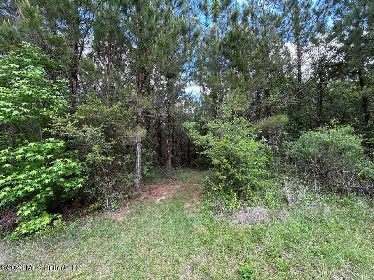 47 Acres in St. Helena Parish, LA with Black Creek