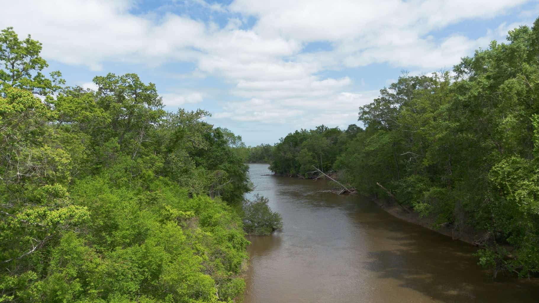 385 Acres Pearl River Frontage Louisiana