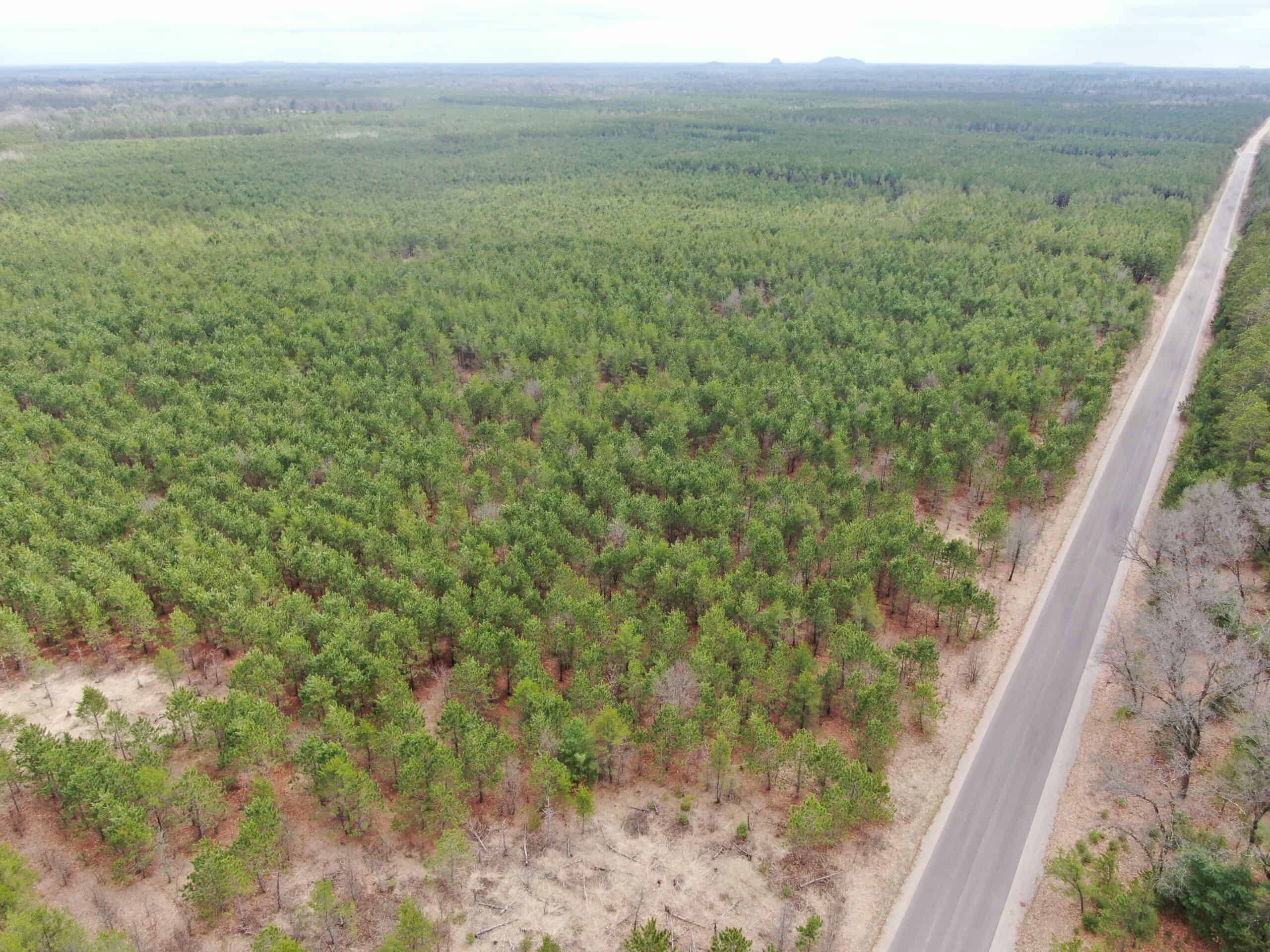 80± acre timber tract in the heart of northern Adams County