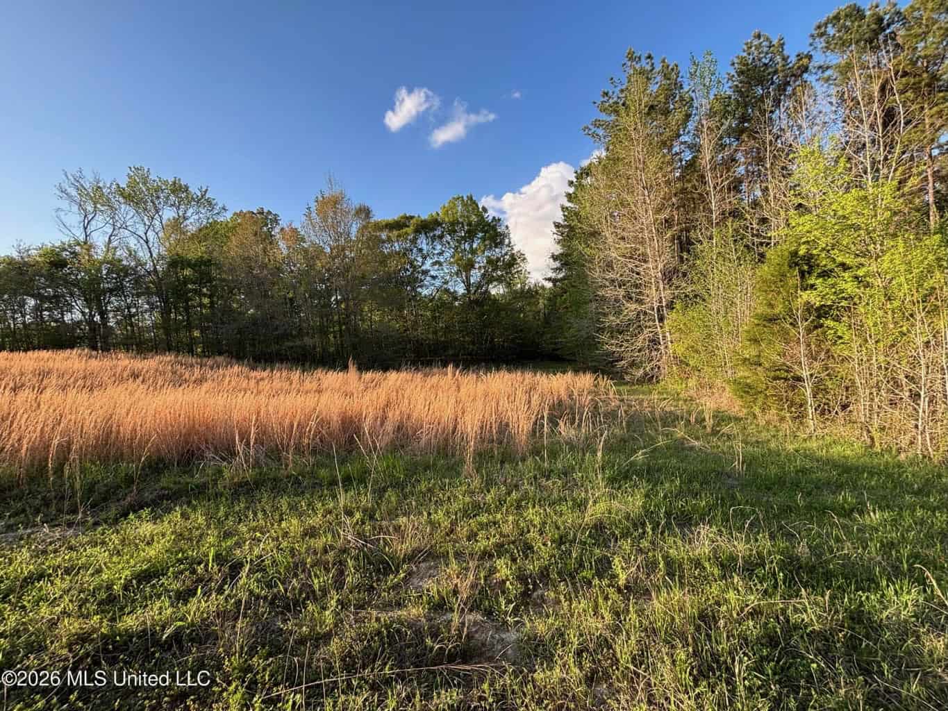 77 Acres in Edwards, MS Hinds County Big Black River Region
