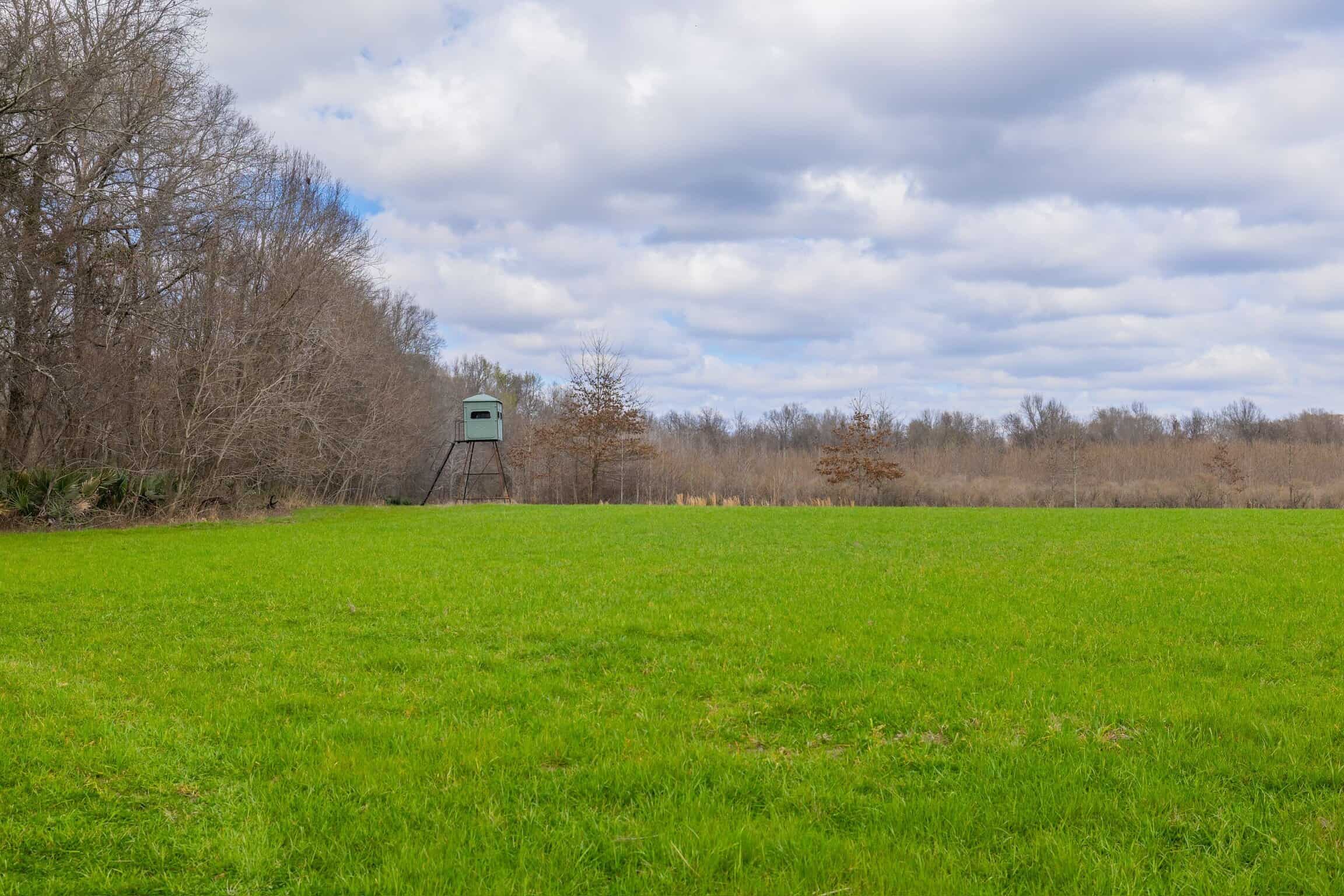 Tensas Parish Duck and Deer Hunting Property