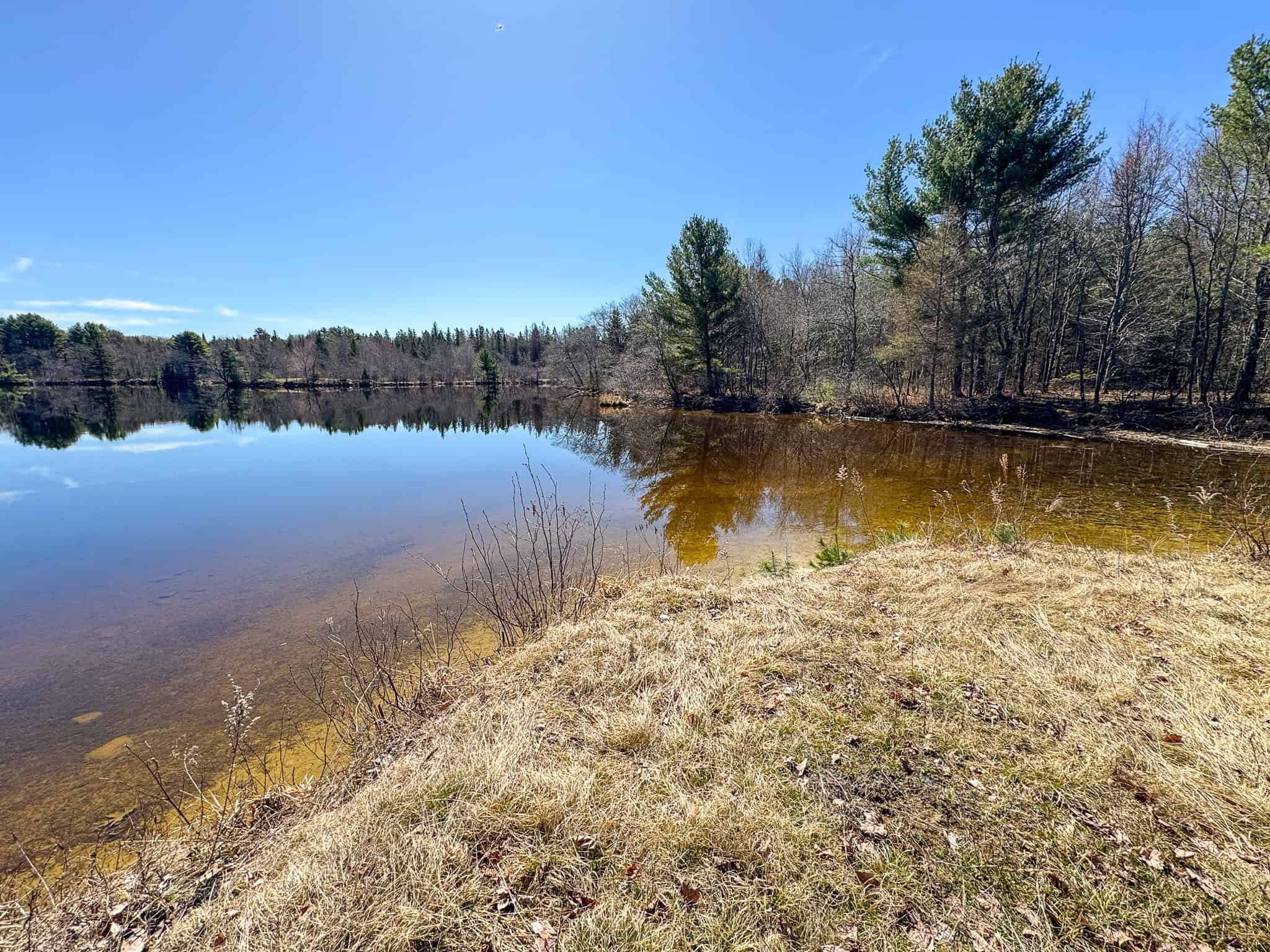 Riverfront Property with 16 Acres – Medway, Maine