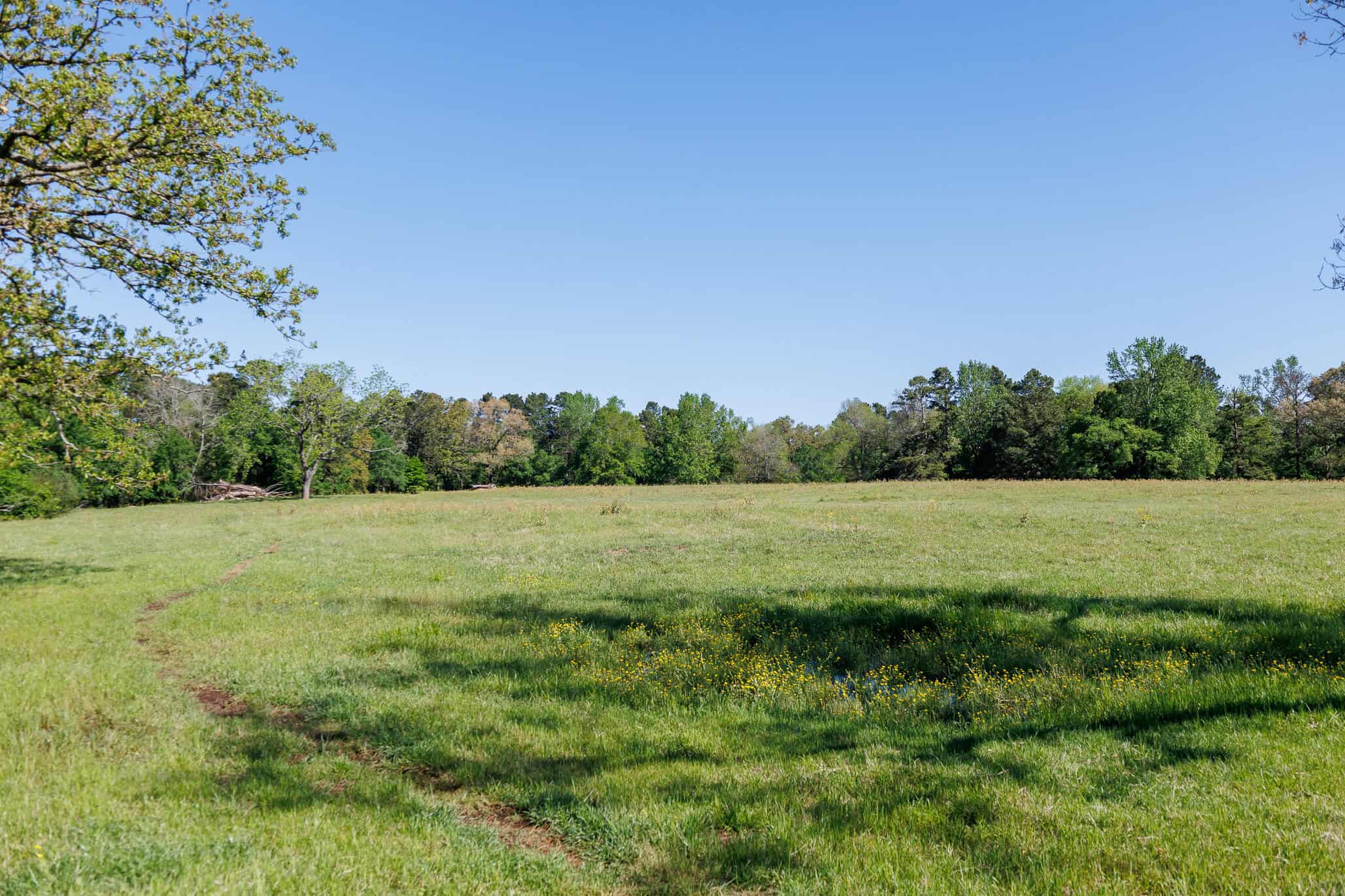 31.74 Acre Recreational Ranch Near Bullard in Smith County TX