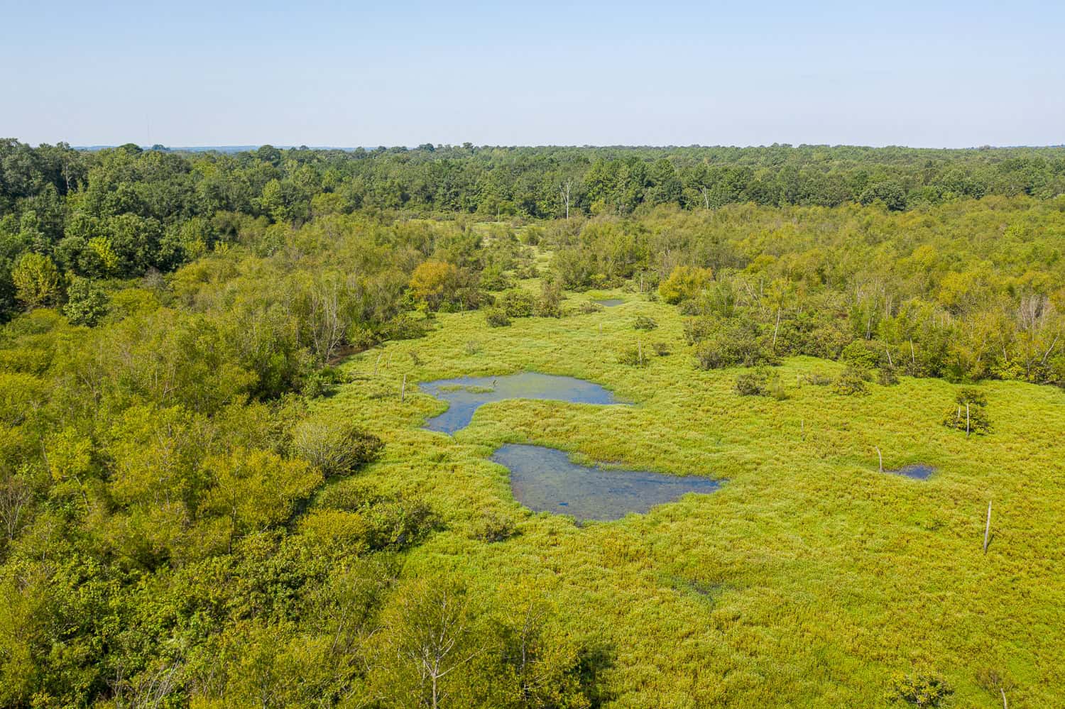 863-Acre Hunting Ranch on the Sabine River near Big Sandy TX