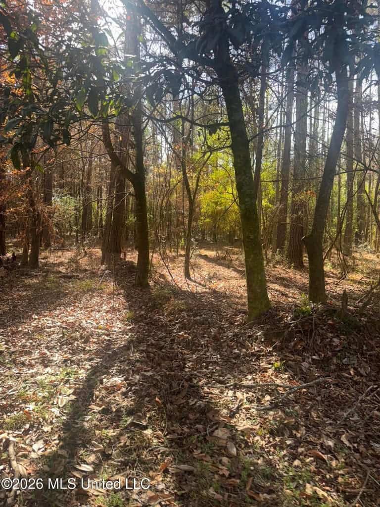 South Mississippi Hunting Land for Sale in Walthall County