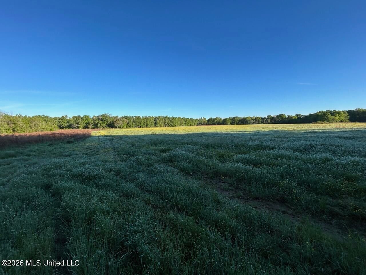 266± Acres Hinds/Copiah Line with Creek and Income