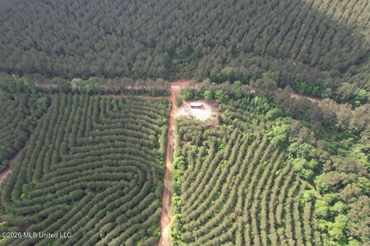 46 Acres in St. Helena Parish, LA Hunting Property for Sale
