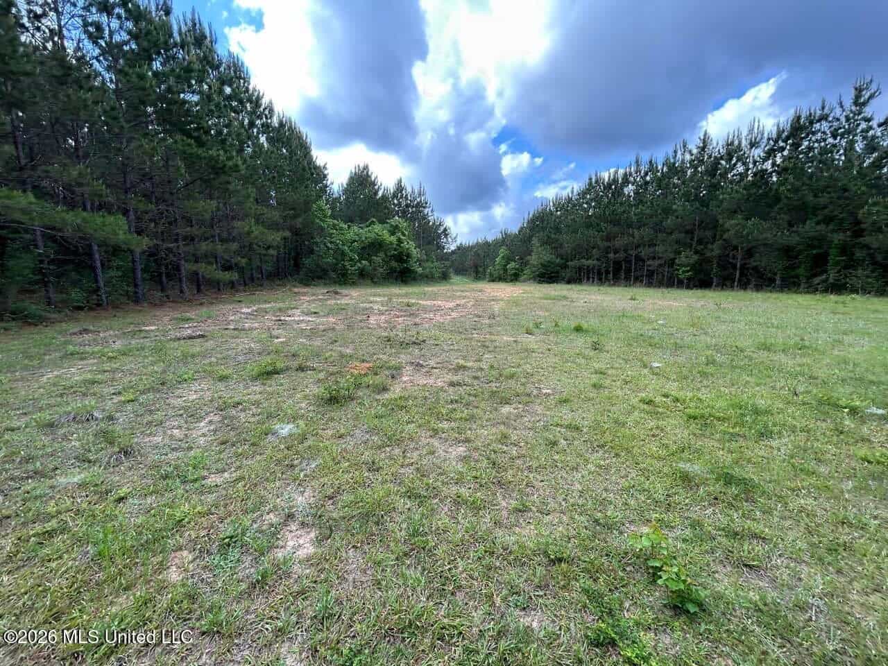 47 Acres in St. Helena Parish, LA with Black Creek