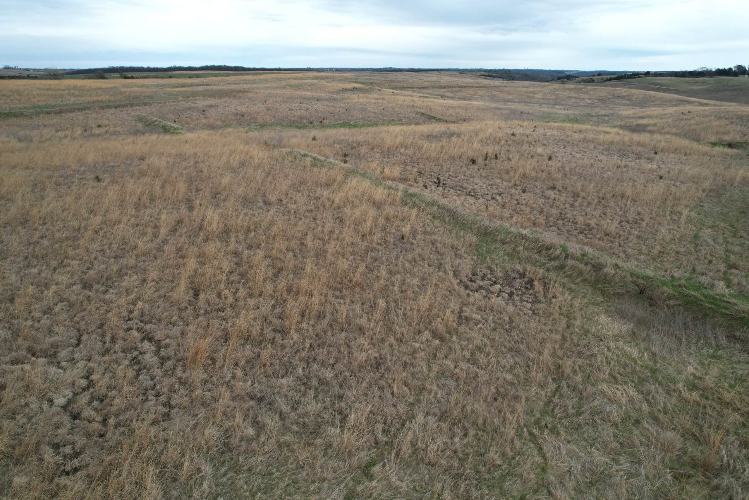 Southwest Iowa Recreational CRP Farm