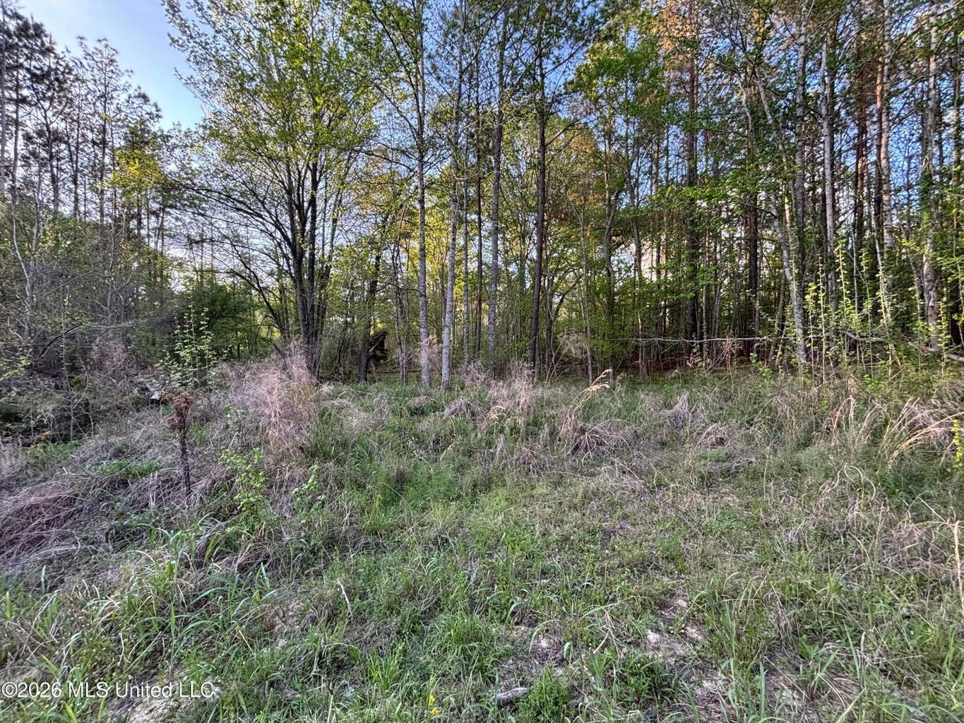 77 Acres in Edwards, MS Hinds County Big Black River Region
