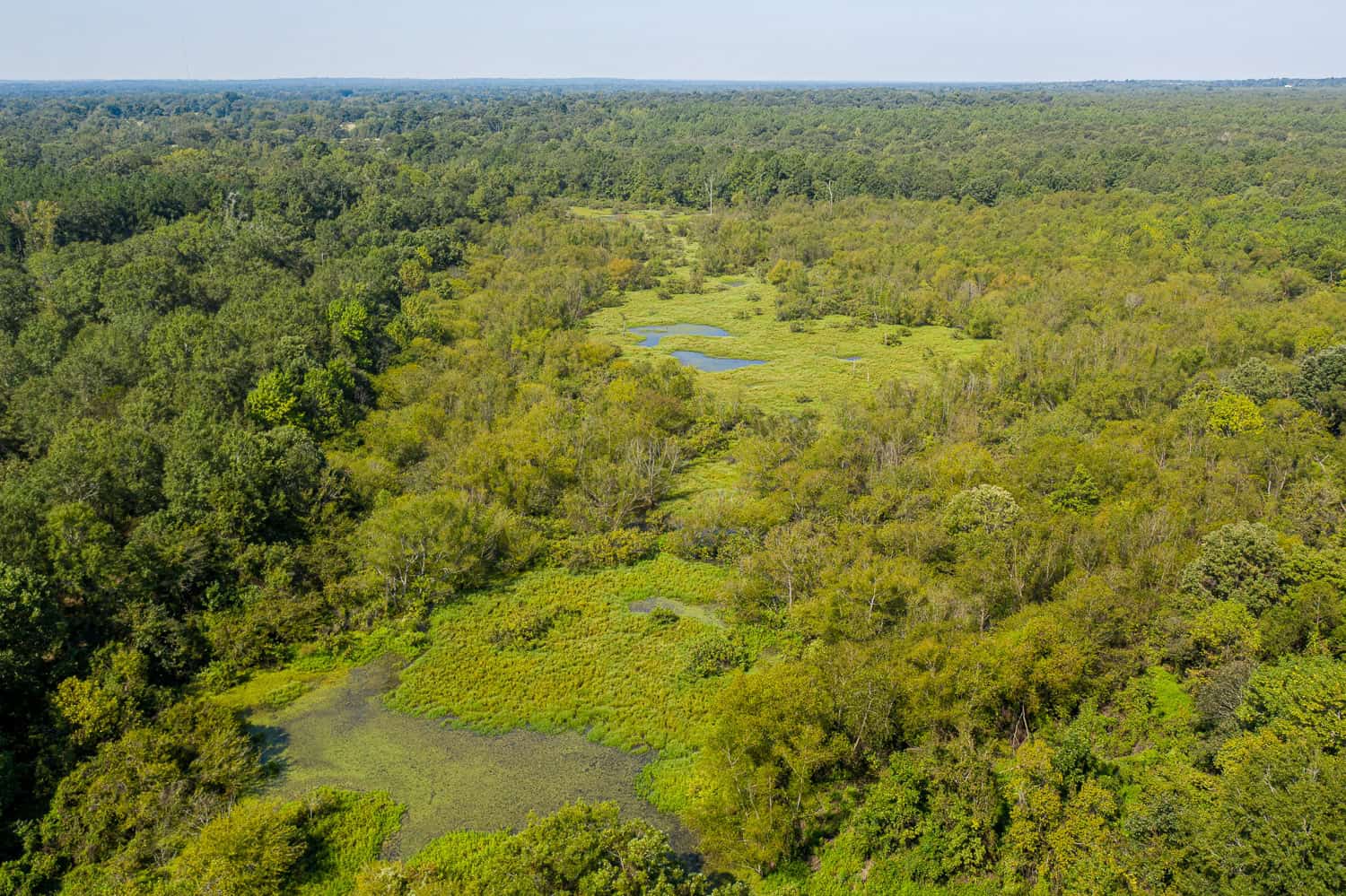 863-Acre Hunting Ranch on the Sabine River near Big Sandy TX