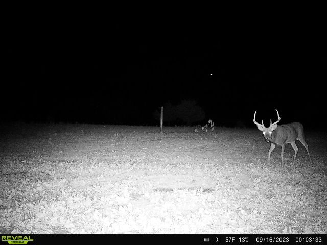 44± Acre Premier Duck and Deer Hunting Property Marquette Cty WI