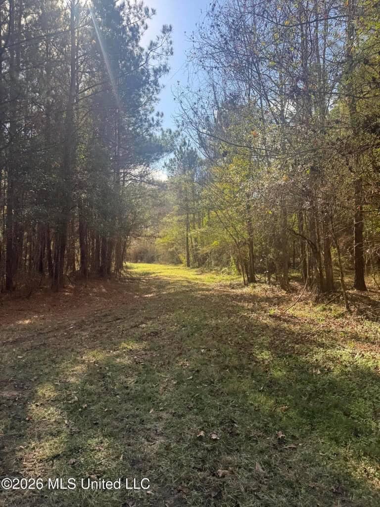 South Mississippi Hunting Land for Sale in Walthall County