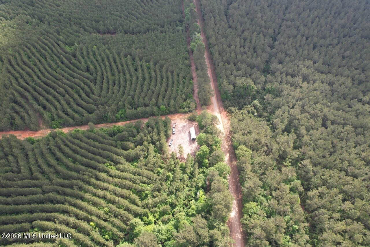 46 Acres in St. Helena Parish, LA Hunting Property for Sale