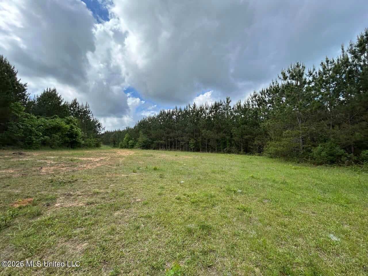 47 Acres in St. Helena Parish, LA with Black Creek