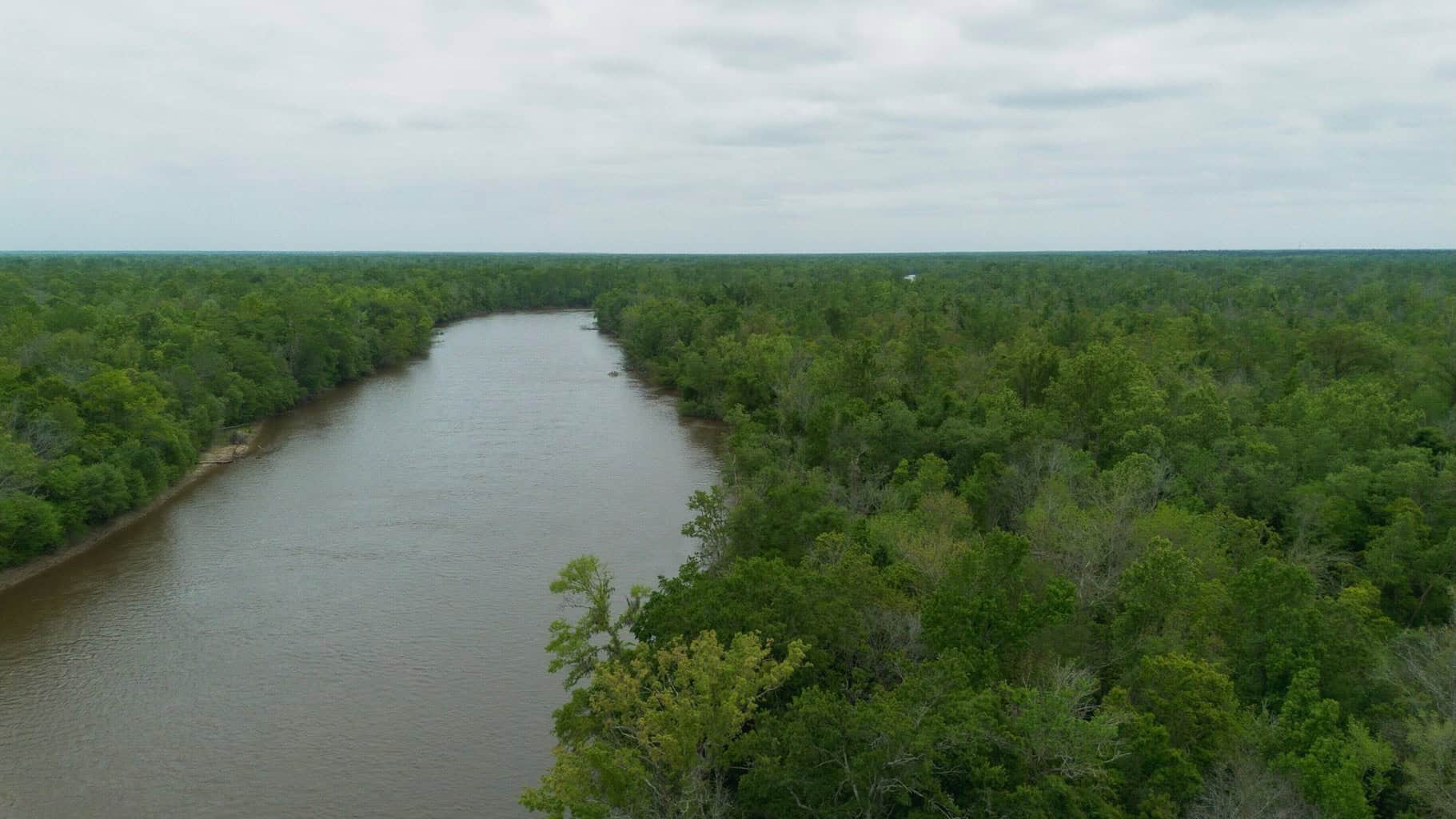 385 Acres Pearl River Frontage Louisiana
