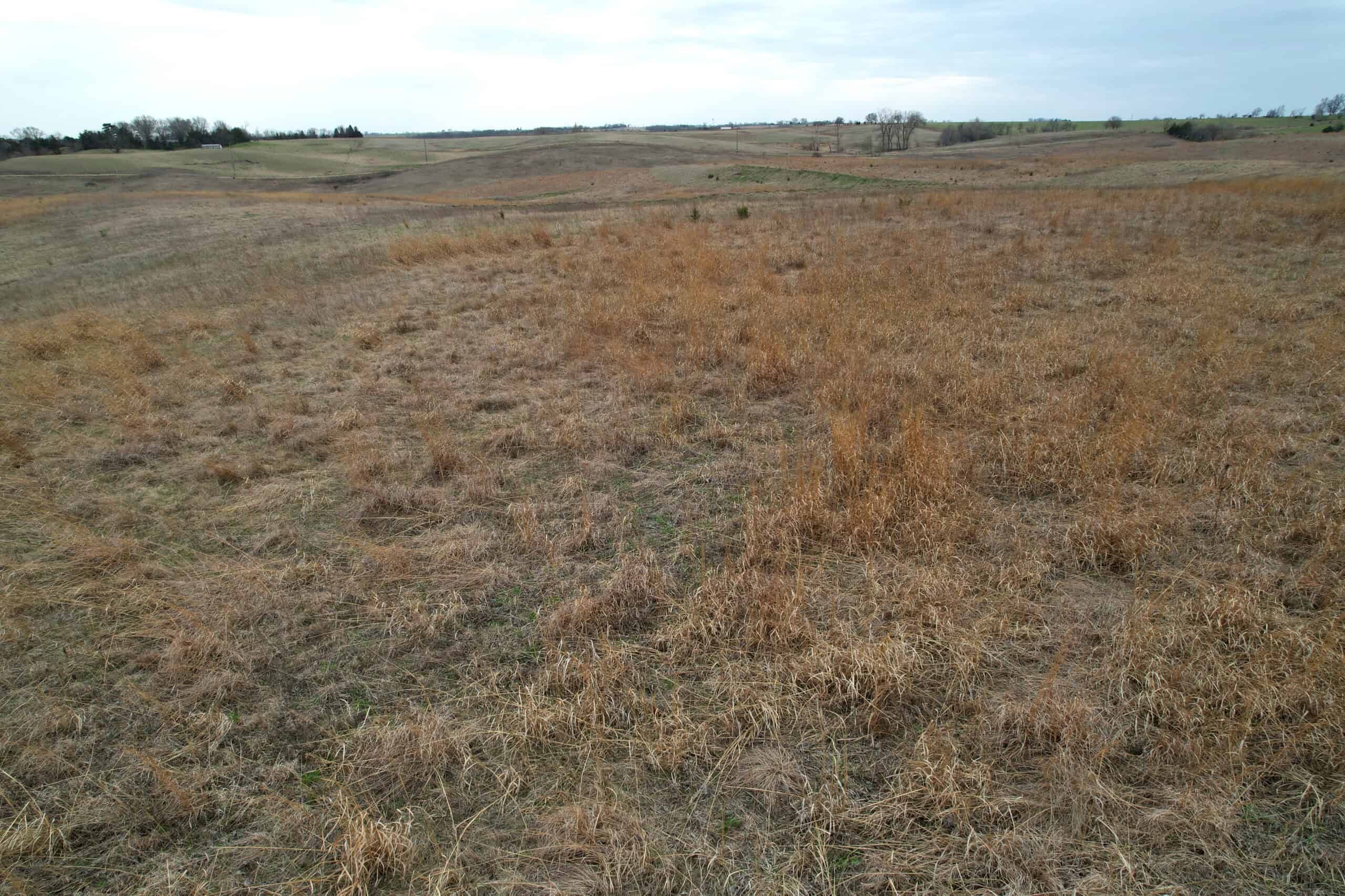 Southwest Iowa Recreational CRP Farm