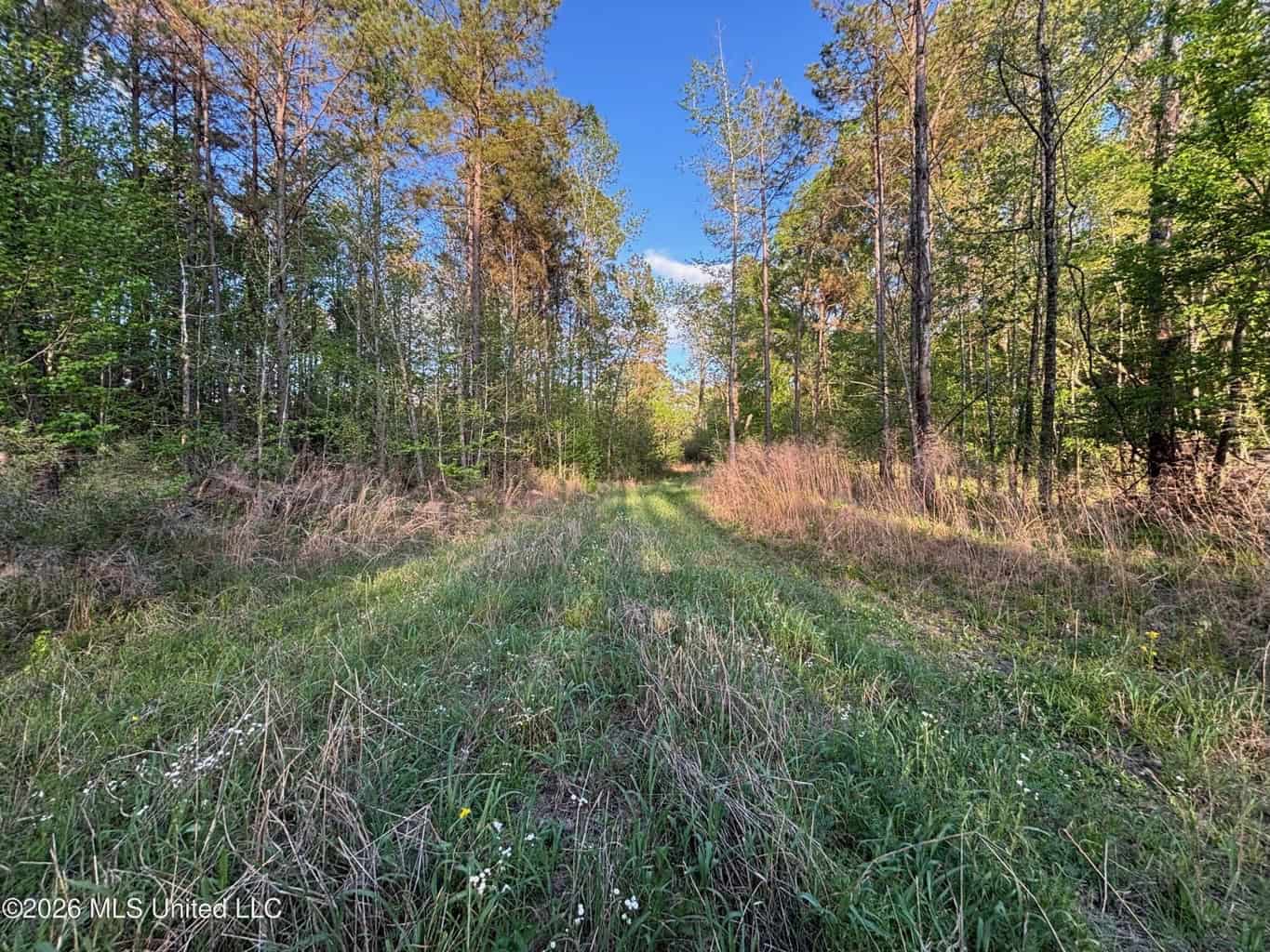 77 Acres in Edwards, MS Hinds County Big Black River Region