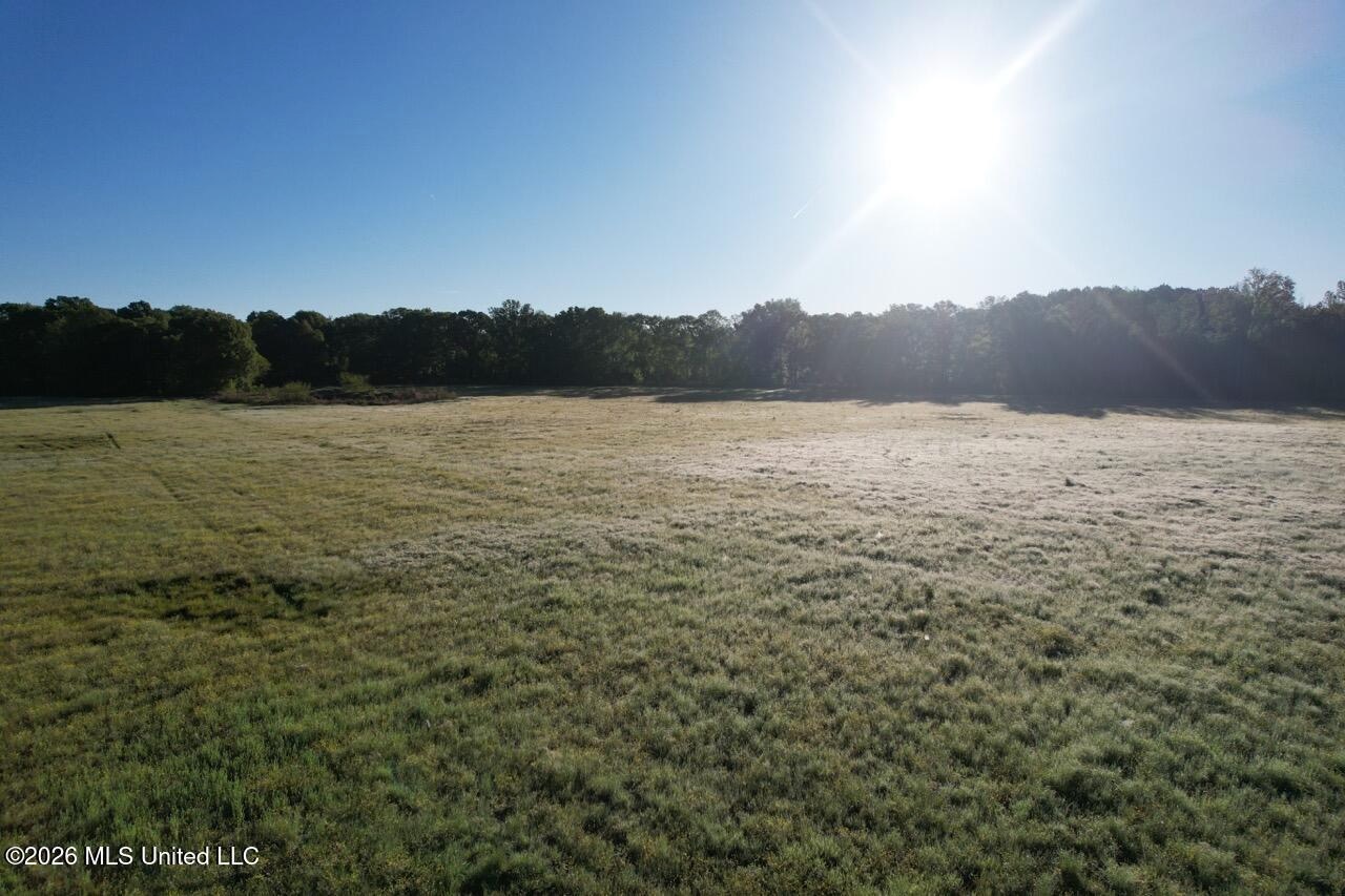 266± Acres Hinds/Copiah Line with Creek and Income
